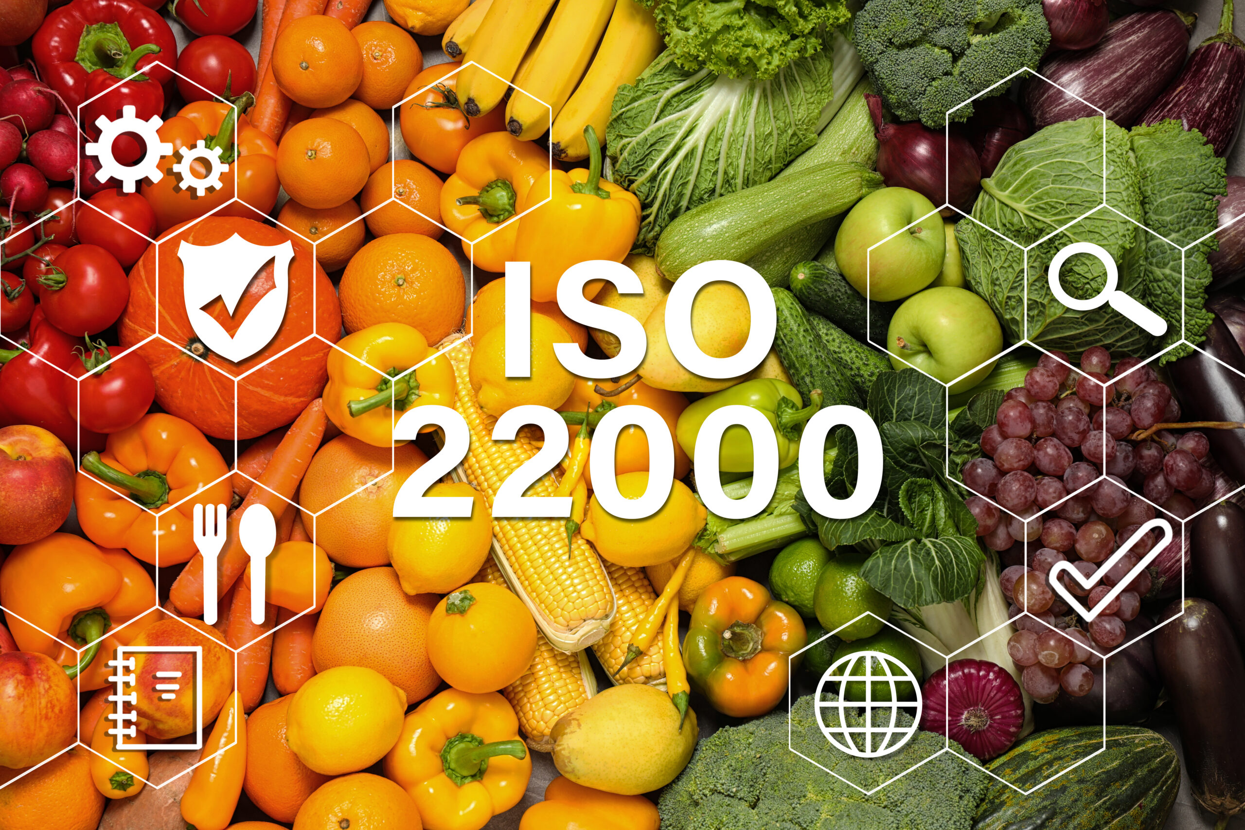 ISO 22000 Gıda Güvenliği Yönetim Sistemi